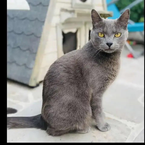 Tina