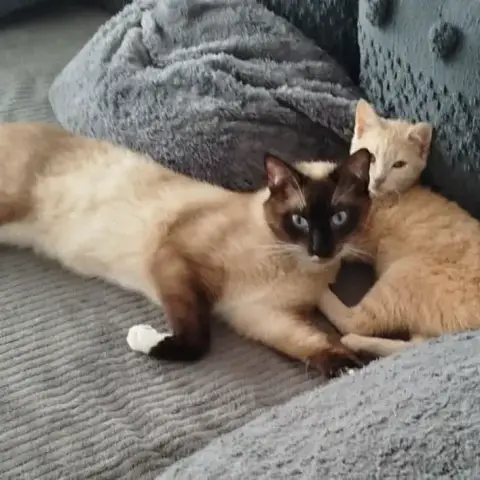 Ulysse Et Tania