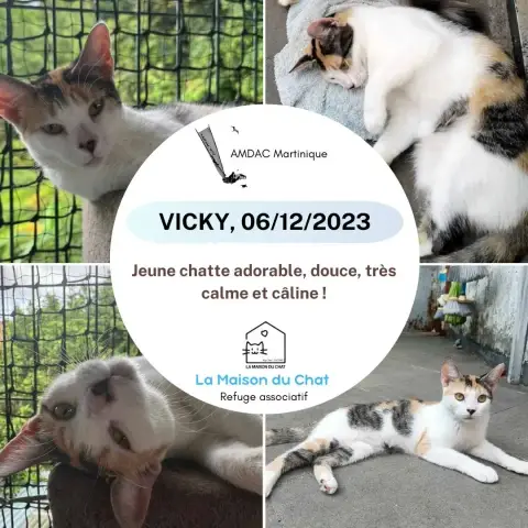 Vicky