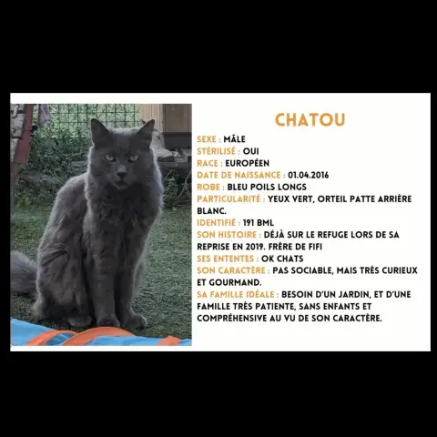 Chatou