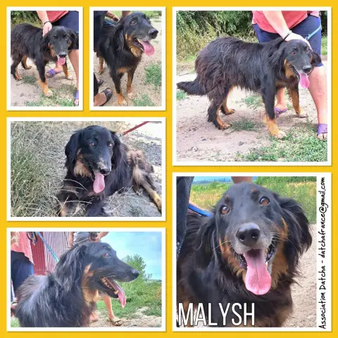 Malish