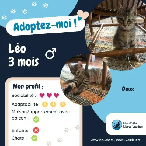 Léo photo 3