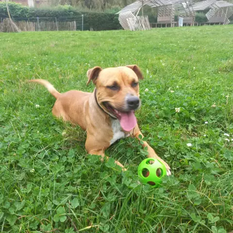 Zina
