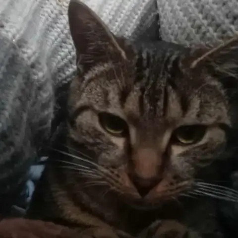 Maurice