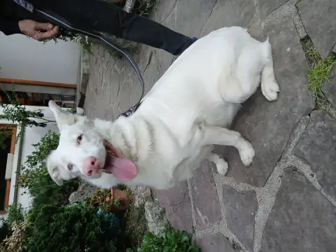 Sally