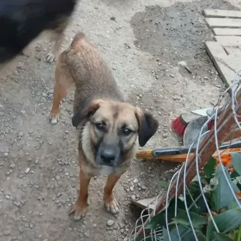 Zina