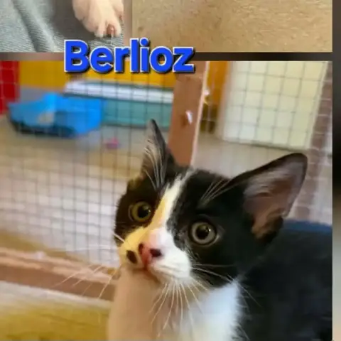 Berlioz photo 2