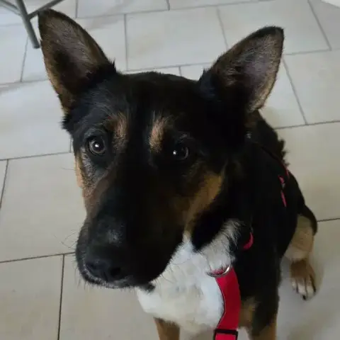 Zoé