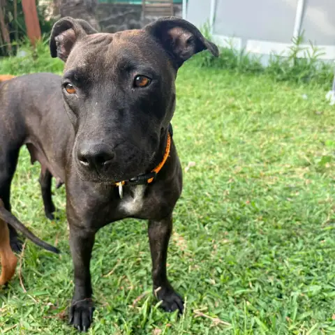 Maya photo 3