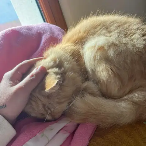 Roméo photo 3