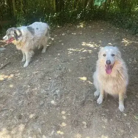 Kiki Et Bouba