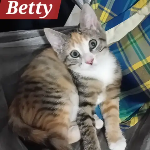 Betty