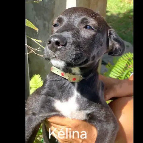 Kelina photo 2