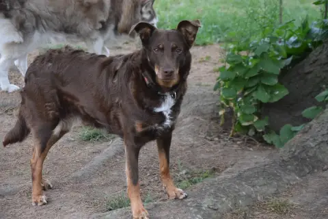 Loona