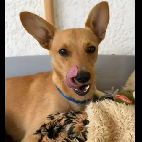 Maya photo 2