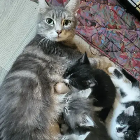 Bigmama photo 2