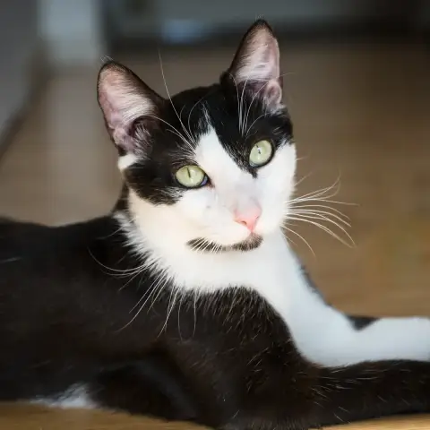 Aymeric photo 2