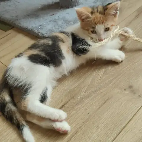 Vénus photo 2