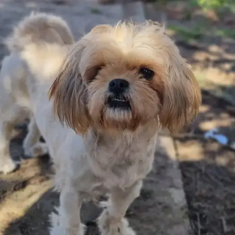 Daisy photo 2