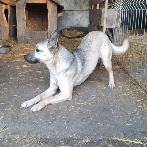 Vulca photo 2