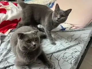 Mila Et Sila