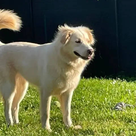 Luna