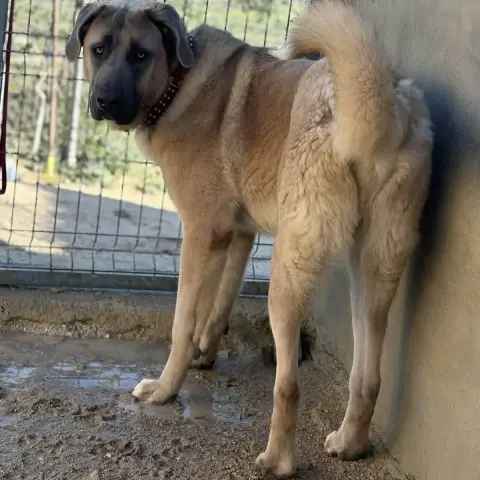 Zeus photo 2
