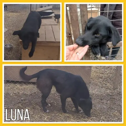 Luna