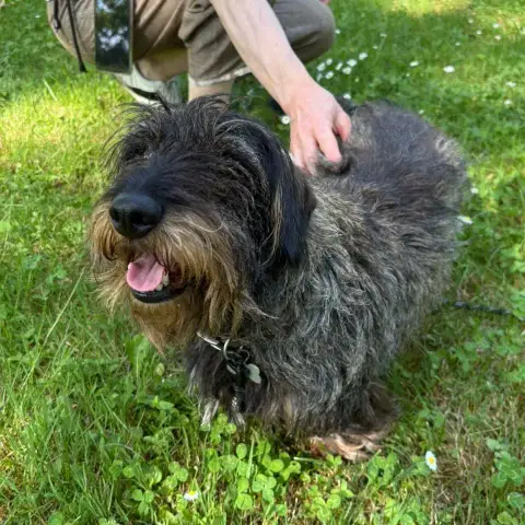 Luigi photo 2
