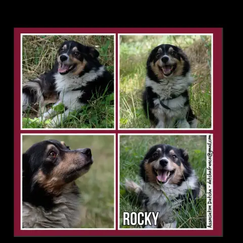 Rocky