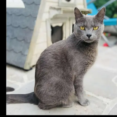 Adopter Tina