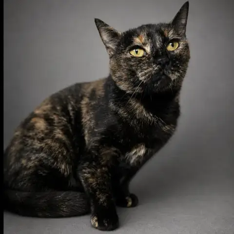 Tina