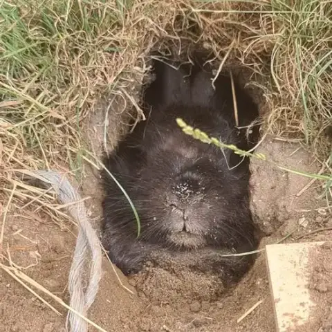 Bob photo 2