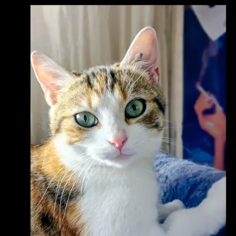 Sally photo 2