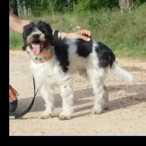 Bob photo 3