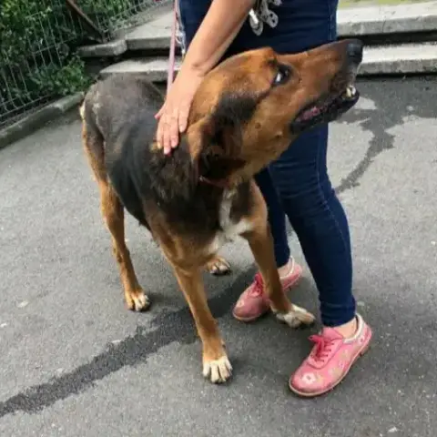 Cofee photo 2