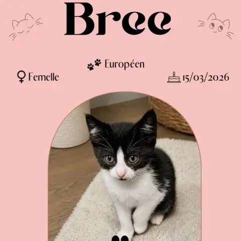 Bree