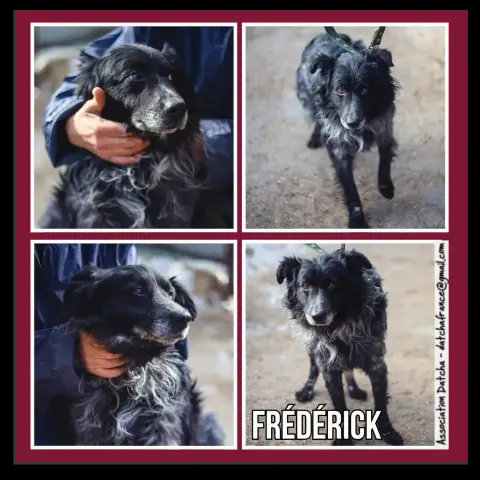 Frederick