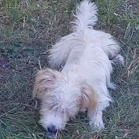 Choupi photo 2