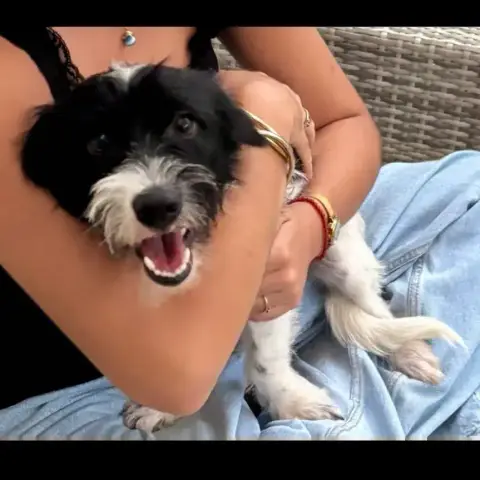 Milou