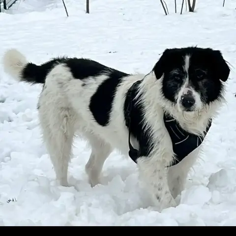 Nyria photo 2