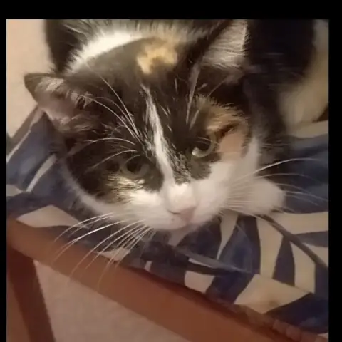 Gliana
