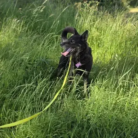 Bonnie