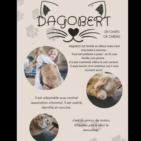 Dagobert