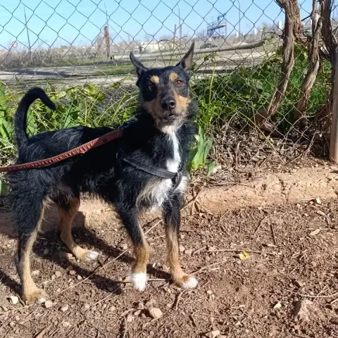 Goku photo 2