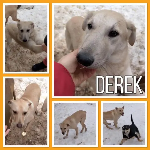 Derek