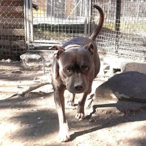 Jack