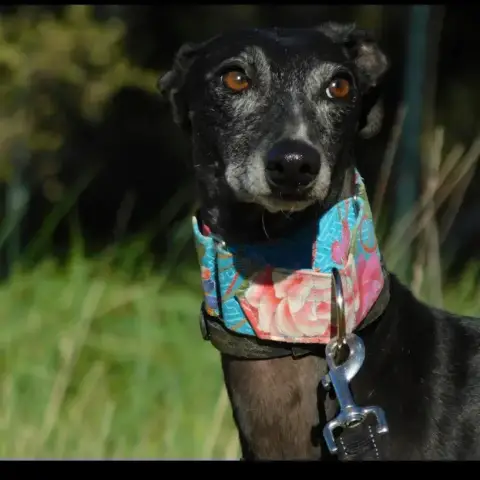 Naomi photo 2