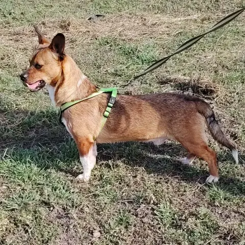 Jango photo 2