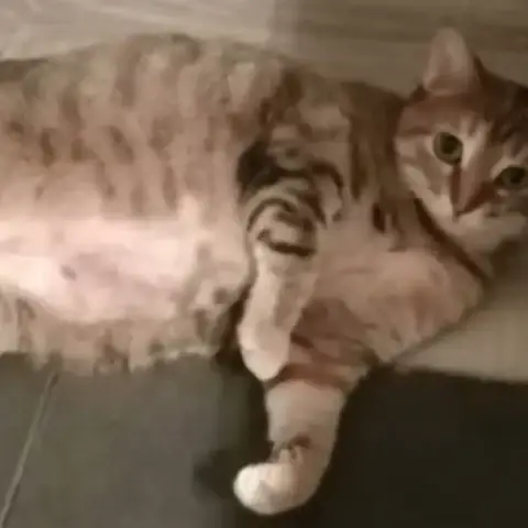 Aki